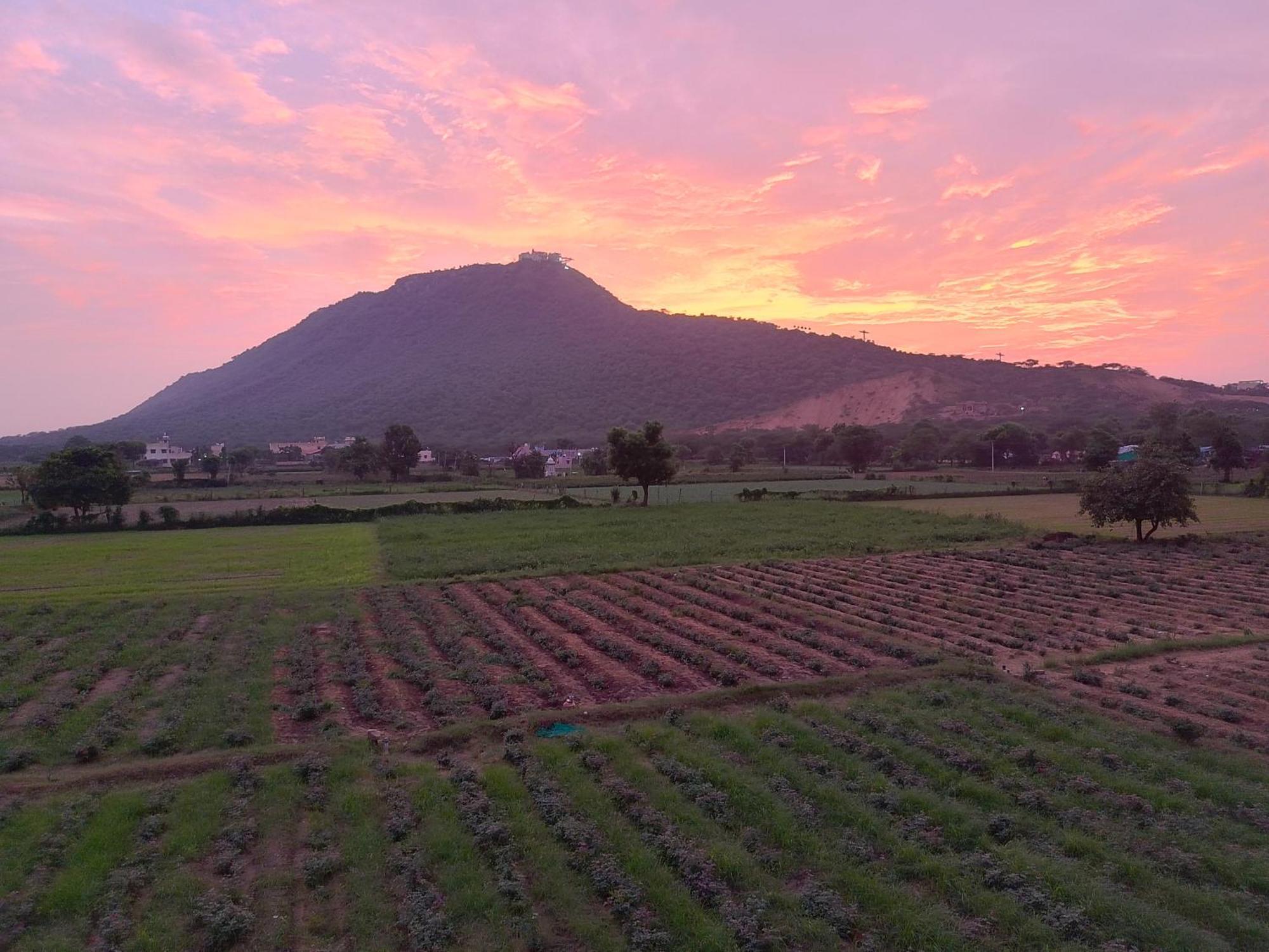 होटल Divine Palace Pushkar