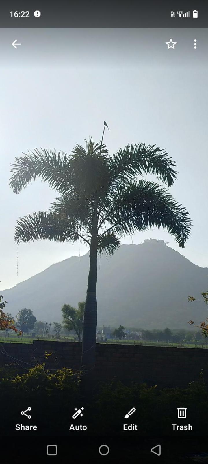 होटल Divine Palace 2*